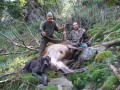 Ketty con gli amici Fulvio e lo sparatore Virginio dopo un bellissimo recupero di questo bellissimo cervo maschio